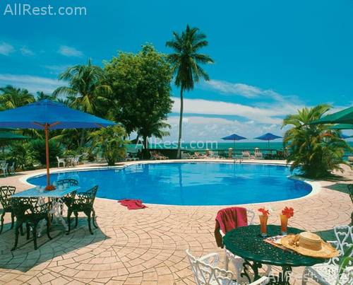 Black Parrot Suites Superior 9